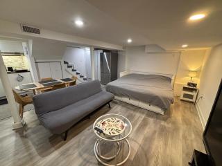 Entire bachelor basement - 9