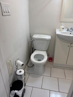Entire bachelor basement - 4