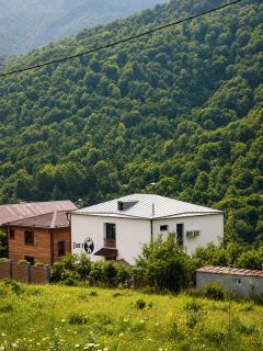 Jans - 1