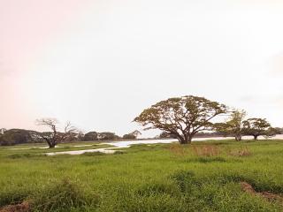 Lakes Edge Eco Yudaganawa - 5