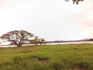 Lakes Edge Eco Yudaganawa - 2