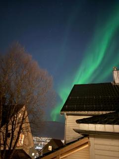 Cosy studio 600m from centrum! - 1