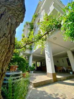 Guest House Barbov - 0