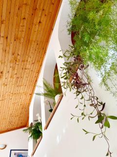 Guest House Barbov - 7