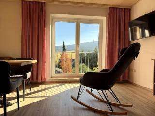 Appartements Gahler - Ferienwohnung mit privater Sauna im Herzen Oberwiesenthals - 9