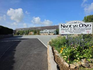 Nant Yr Odyn Country Hotel & Restaurant Ltd - 8