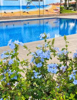 Appartement mit Garten - La Siesta resort beach - Mohammedia - 6
