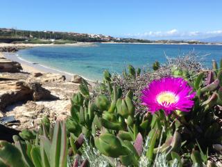 Da Patrizia - Santa Teresa Gallura - 1