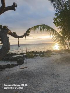 Fakarava Pension TAHA - 4