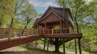 Hilton Grand Vacations Club Branson Cedars Ridgedale - 4