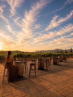 Hotel Flores de Sal-Valle de Guadalupe - 5