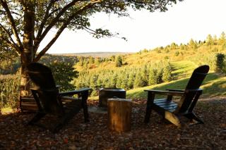 Hilltop Dome Fire Pit 30 min to Penn State - 4