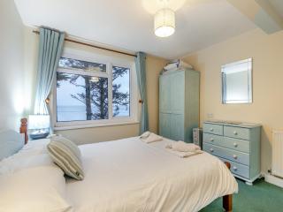 8 Mount Brioni - Ukc5343 - Torpoint - 2