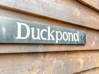 Duck Pond - Ukc6439 - Evesbatch - 5