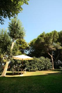 B&B Il Parco Dei Pini - Giulianova - 3