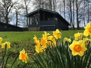 Maple Chalet 18 - Ukc5232 - Crieff - 0