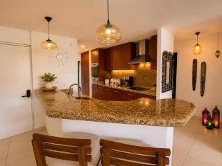 Villa Magna Beachfront Luxury Condo - 8