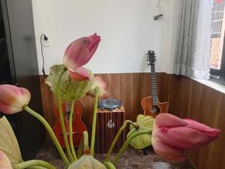ICHI Home Kim Long - 3