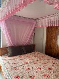 Hai Lua Homestay - 2