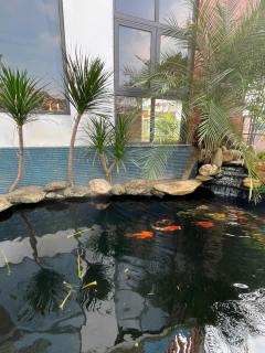 Hai Lua Homestay - 3