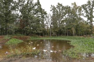 Peaceful Farm Stay in Alton w/ Private Patio - 9