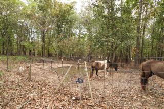 Peaceful Farm Stay in Alton w/ Private Patio - 8