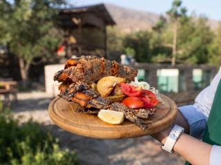 Olive Ala-Archa Hotel & SPA - 4