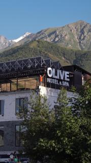 Olive Ala-Archa Hotel & SPA - 0
