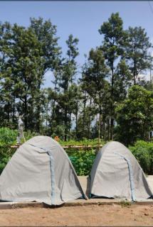Vbss camping hub vanjangi near to view point - 7