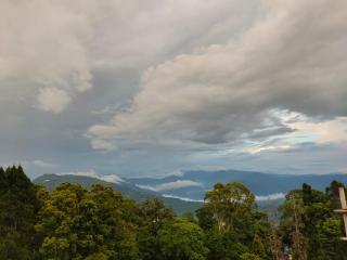 Lepcha 's Homestay - 0