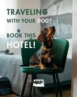 CITYMAP HOTEL APARTMENTS Maribor-Free parking! - Maribor - 8