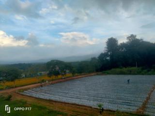 Haneeshya Resort & Strawberry farm - 7