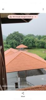 JB Farm - 3