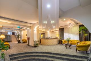 Hotel Brilliant Meseș - 8