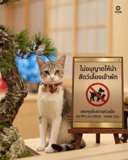 Tatami Hotel Phuket - 1