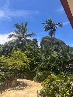 Wood Haven Homestay - 9