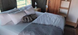 Ozohere Campsite, Tented Camp and Himba Village - 2