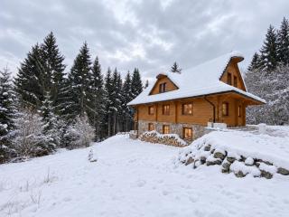 Wellness Drevenica Tale, pool table, up to 12 min to Ski Jasna, Ski Tale, Ski Myto - 0