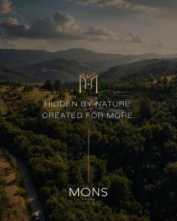 Mons Villas & SPA - 4