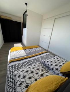 Duplex 2 ch - Clinique Ste Clotilde à 50 m - 7