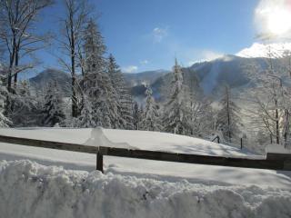 Semmering Villa Sonnenschein - Semmering - 8