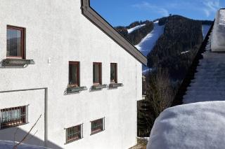 Semmering Villa Sonnenschein - Semmering - 7