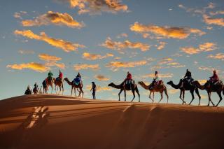 Royal Sahara Getaway - 0