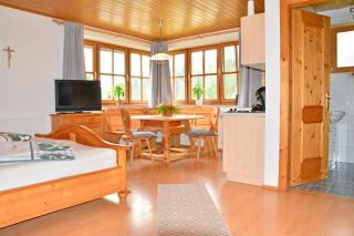 Schmittenappartement 1 und 2 - 4