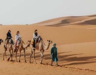 Royal Sahara Getaway - 5