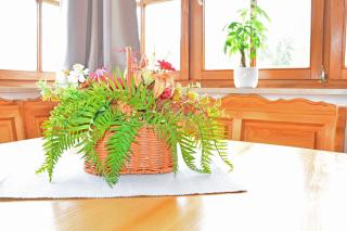 Schmittenappartement 1 und 2 - 2