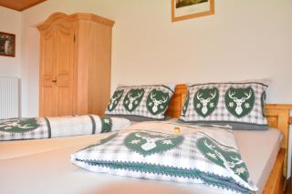 Schmittenappartement 1 und 2 - Krispl - 3