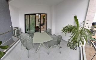 Tamarin - 2