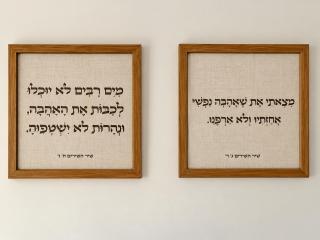 צימר יד בנימין - צימר כשר ושומר שבת לדתיים עם ג'קוזי וסאונה - 9