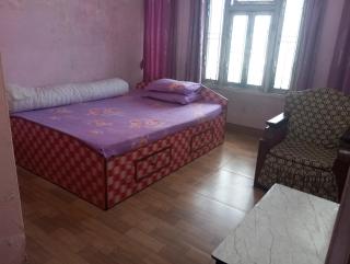 Shikhar hotel and lodge - 4